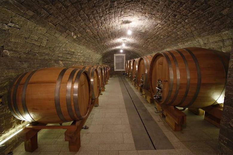 Appartement Kmetija Tomazic Vinska Klet - Winery à Vipava Extérieur photo